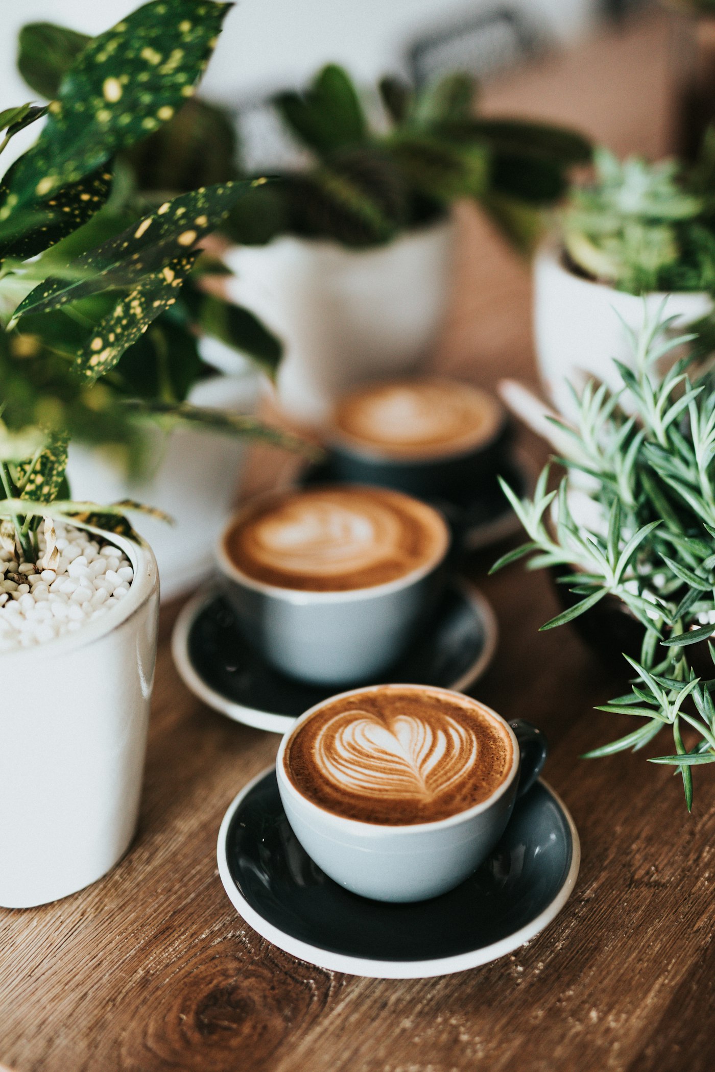 A cup of coffee on a sunlit back porch